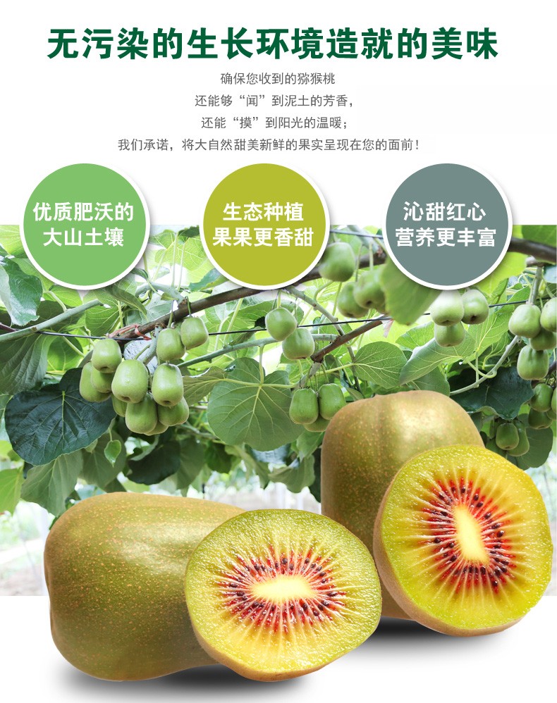 原产地现摘现发红心猕猴桃精品中果30颗装